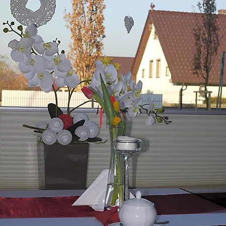 Dworek W Ploni Bed & Breakfast Płonia