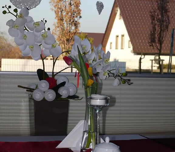 Bed & Breakfast Dworek W Ploni 3*